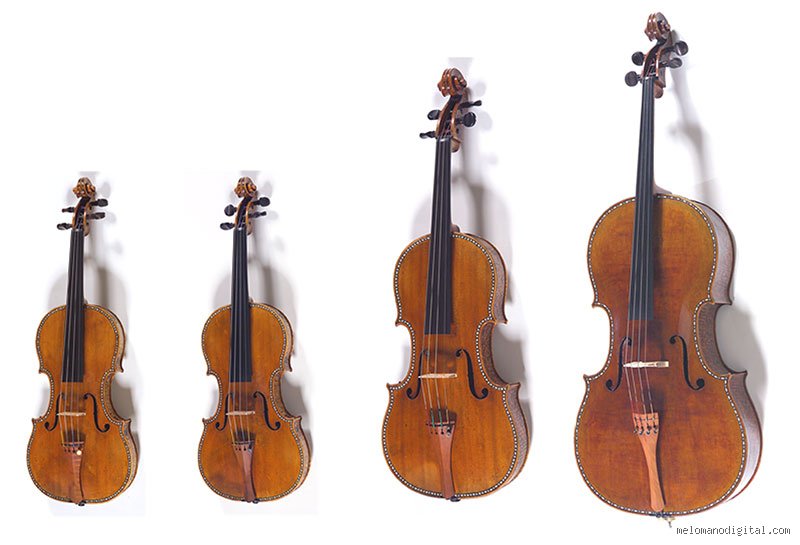 ¿Cuántos violonchelos Stradivarius existen? El enigma de los supervivientes del taller de Cremona