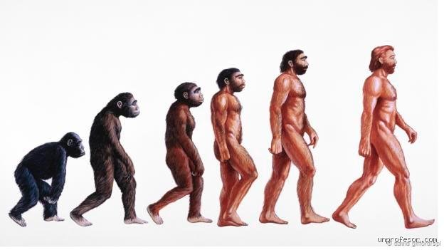 La gran encrucijada evolutiva: ¿Dónde existió el primer humano y qué secretos guarda la tierra africana?