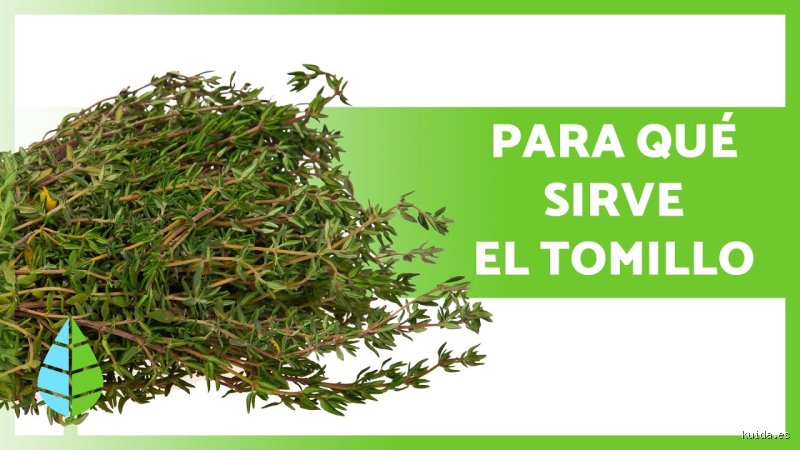 ¿El tomillo sube la tensión arterial o es simplemente otro mito popular de la abuela?