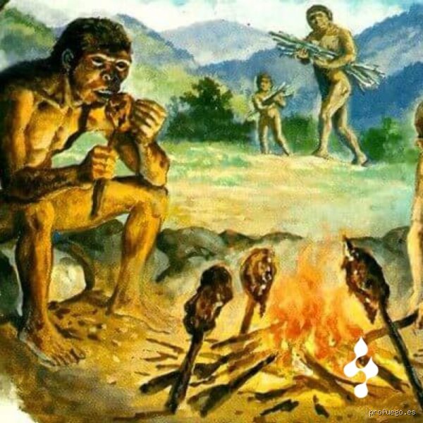 ¿Se inventó el fuego varias veces o fue un hallazgo fortuito que cambió nuestra historia biológica para siempre?
