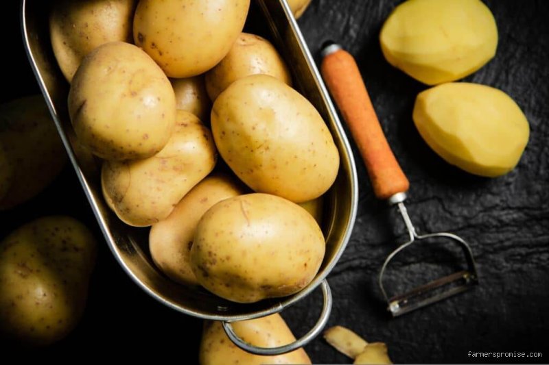 ¿Son las patatas aptas para pacientes cardíacos? Radiografía de un tubérculo bajo la lupa médica