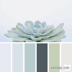 ¿Cuál es el color más zen? Descubre el tono exacto para transformar tu espacio en un refugio de paz absoluta