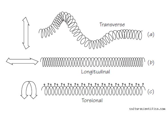 ¿Cuántos tipos de ondas de sonido hay?
