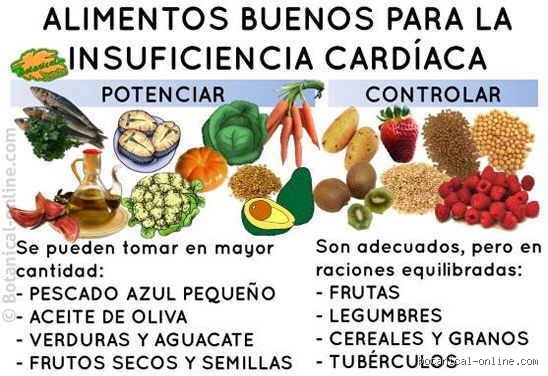 ¿Pueden los pacientes cardíacos comer legumbres? La verdad científica sobre el superalimento que divide a las consultas de cardiología