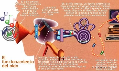 ¿Cómo se llama lo que estudia el sonido? Una inmersión profunda en el universo invisible de la acústica moderna
