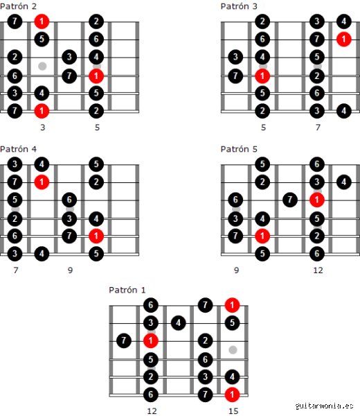 Domina el mástil: Guía definitiva sobre cómo usar la escala mayor en guitarra para transformar tu musicalidad