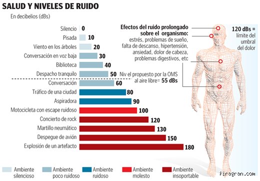 La arquitectura del silencio absoluto y la búsqueda desesperada por definir cuál es el umbral mínimo de ruido