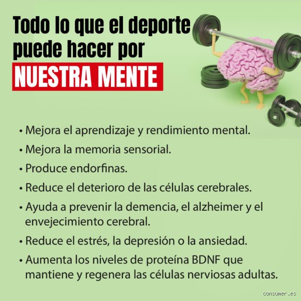 ¿Ver deportes es bueno para el cerebro? Radiografía científica de la pasión por el juego y sus efectos neurológicos