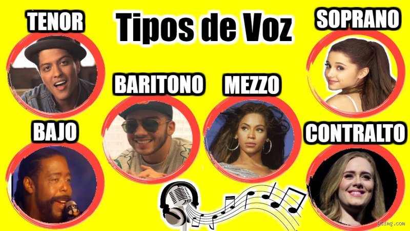 ¿Cuáles son los 4 tipos de voz? Todo lo que necesitas saber