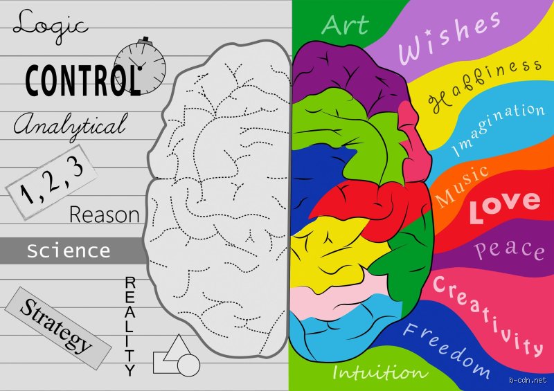 ¿Los músicos tienen un coeficiente intelectual alto? Aquí está lo que dicen los estudios