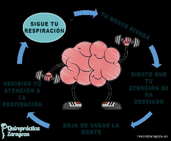 ¿Cómo se entrena al cerebro? Lo que la ciencia dice (y lo que aún no sabe)