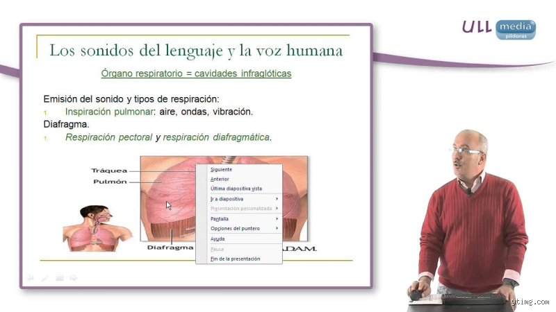 ¿Cómo se llama el sonido del lenguaje humano?